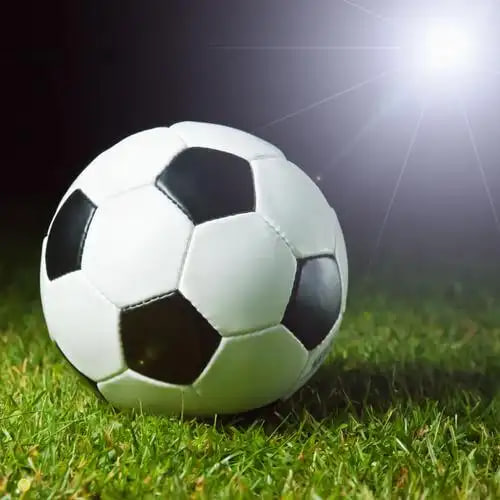 体育爱好者赛事追踪